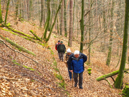 Teufelstischtour Januar 2019